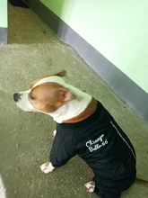 Dog-Coat Winter HOOPET for Dogs Clothing Warm Christmas Big