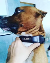 Dog-Collar Leash Engrave-Name Designer Personalized Luxury for Big Large And