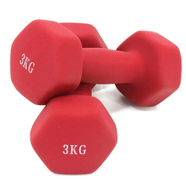 Dumbbells plastic for women, dumbbell Fitness lasting, with style, smooth surface, from 3 kilos, portable optional, 2 pieces 3.0KG