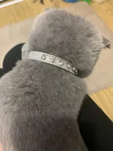 Collar de gato de diamantes de lujo de cuero para mascotas, utilizado para gatos con diamantes de imitación personalizados, traje para gatitos y chihuahua, dla OTA coleira gato