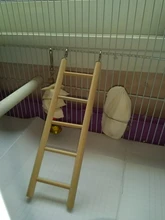 Birds Toy Hamsters Parrot Ladders Wooden Climbing Perch Pet-Supplies Scratcher Swing