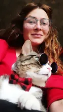 Glasses Pet-Photos-Props-Accessories Pet-Products Eye-Wear Reflection Vintage Lovely
