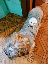 Jacket Outfits Dog Coat Pug-Costume Small Dogs Soft Chihuahua Cartoon Fleece Winter Warm