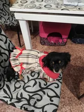 Dress Costume Dog-Puppy-Clothes PET PETCIRCLE Small Dog Classic Check Fit Pet-Cat All-Seasons