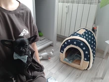 Corbata ajustable para perros, gatos, cachorros, corbatas para bodas, decoración para fiestas, corbatas para mascotas