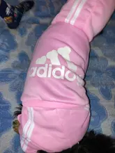 Traje para mascotas pequeñas y medianas, mono para cachorros, ideal para bulldog francés, chihuahua o pug