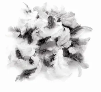 

63821127 decorative feathers white-black-gray 2G, (30 PCs +,-) Gloria ex