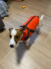 De invierno para mascotas ropa de perro francés mascota Bulldog cálido Chaleco con arnés abrigo perro ropa chaleco pequeño mediano para perros