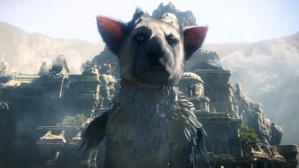 Диск для PS4 LAST GUARDIAN: Последний хранитель(русские субтитры