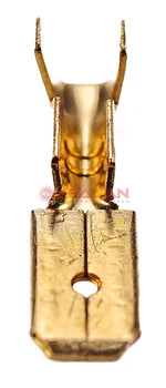 

TEC rp-p 1-5-0.8-17 flat connector without insulation, 100 pcs.