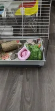 Bed Pet-House Hamster Hedgehog-Squirrel Guinea-Pig Small Nest Kawaii Warm Soft Cartoon-Shape
