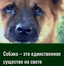 Conjunto de anillos circulares Punk para mujer, Hiphop/Rock, accesorios de dedo con índice de apertura, hebilla, anillo de cola de junta, joyería