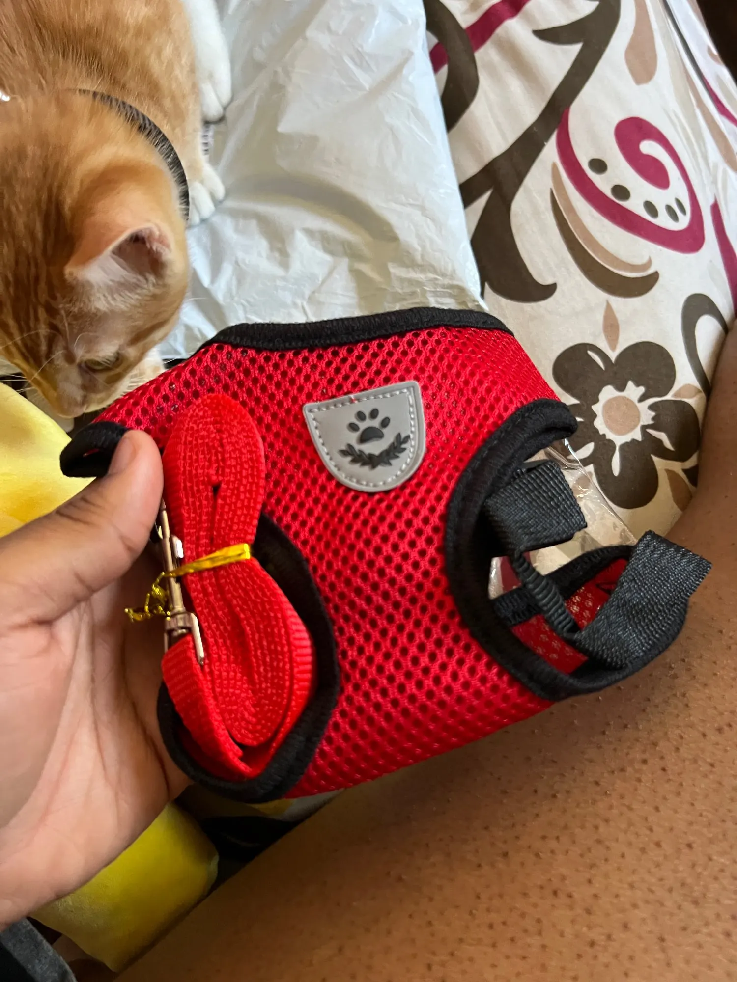 Harness Adjustable Vest For Medium Pet photo review