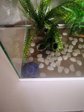 Artificial Resin Coral Sea Plant Ornament Silicone Nontoxic Blue Artificial Coral Plant