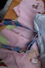 Dog-Collar Engraved Puppy-Name Floral Pet Personalized Airuidog Free Small Large Medium