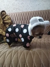 Dog Overalls Clothing Puppy Winter Coat Hoodie Pet-Dog Cotton Thicken Dot for Small Big-Polka-Dot