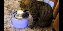 Drinking-Bowl Auto-Feeder Water-Dispenser Water-Fountain Cat Automatic Dog Pet-Usb Super-Quiet