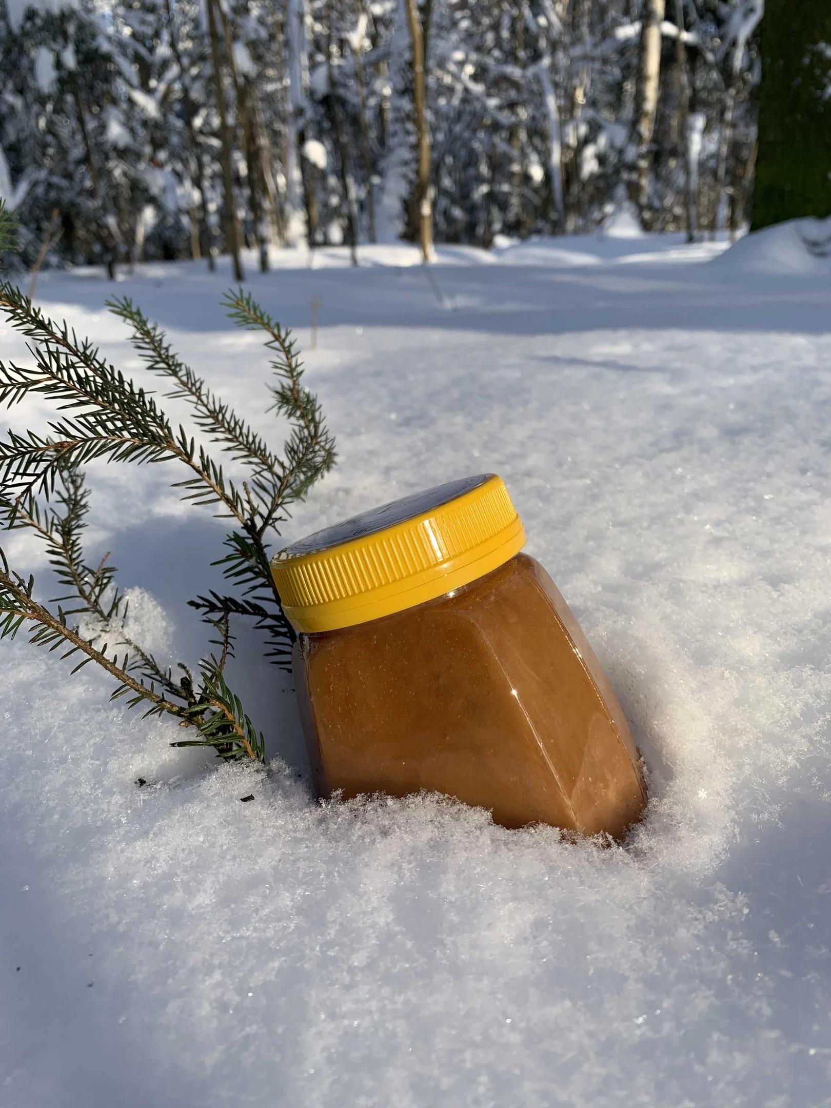Honey grass floral Altai natural 550 GR buy tea honey Altai slash glass sweets yummy spices for confectors