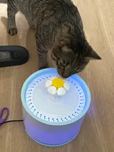 Container Dispenser Water-Level-Display Cats-Drink Dogs Automatic-Water-Feeder Electric