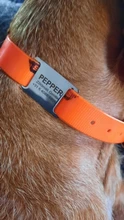 Etiqueta de mascota personalizada para Collar Etiqueta de perro de acero inoxidable, nombre de identificación, etiquetas de perritos de teléfono para perros, gatos, Bulldog, Yorkies, Dirección de Collar grabado para perro