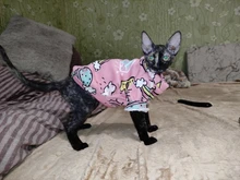 Estampado de conejo disfraz mascota gato para gatos de Kedi Katten Sudadera con capucha Primavera Verano gato traje de ropa de mascotas ropa para gato