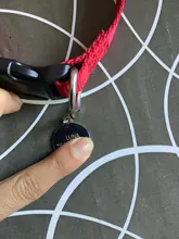 Id-Collar Pendant-Supplies Pet-Name-Tag Customized Dog Metal Personalized Engraving Puppy