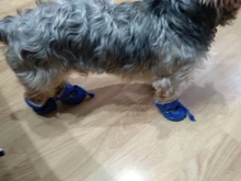 4 unidades/juego de zapatos de lluvia antideslizantes de Cachemira suave y cálida para mascotas, calzado suave a prueba de viento para perros y mascotas, zapatos impermeables antideslizantes