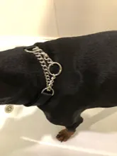 Dog-Collar Link-Chain Dog-Training-Accessories Slip Pet Large Dog Martingal Nylon Adjustable