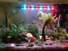 Aquarium Lighting Lamp Submersible-Light Fish-Tank Underwater 24-54CM