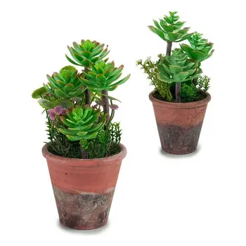 

Plant pot
