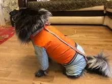 HOOPET-chubasquero para perro, mono impermeable para perros, abrigo para mascota, perro pequeño, gato, Chihuahua, chaqueta impermeable