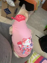 Flamingo patrón suave ropa para mascotas ropa de perro ropa zapatos y accesorios zapatos y ropa de perro chaleco camisa productos para mascotas verano gato chaleco camiseta