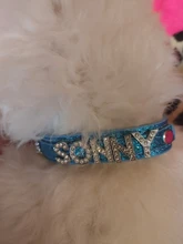 Personalized Dog Collar Leather Rhinestone Bling Charms Custom Pet Dogs Cat Name