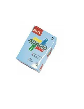 

PACKAGE A3 500 LEAVES COLOR
