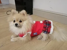 Costume Dog Shirt Dress Christmas Cat-Coat Couple for Small Cats Terrier Ropa Para Perro