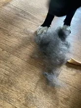 Peines para quitar el pelo de perros y gatos, herramientas de aseo, recortadora desmontable, accesorio, peines para mascotas