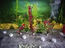 Aquarium-Accessories Decoration Materials Fish-Tank Artificial Green 20cm PVC Plants