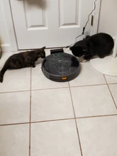 Robot-Vacuum-Cleaner Suction Mopping-Disinfect Smart-Memory Liectroux C30b Navigation-Wifi-App