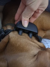 Pet-Trainer Shocking Dog-Training-Collar Electric Rechargeable Dog-Accessories Remote