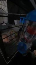 Botella bebedero de conejo para mascotas, dispensador automático de agua para perros y conejos, botella para colgar, 500 ML