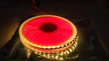 Led-Strip CCT Warm White Natural High-Cri Cool 600LED 12V 24V 5m