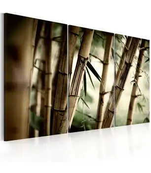 

Picture-in a tropical forest