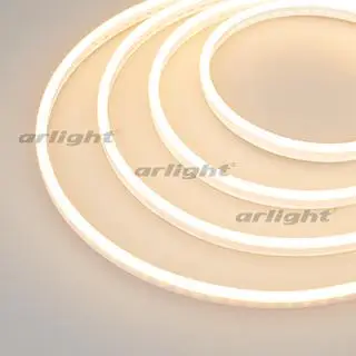 

030969 sample flexible neon galaxy-1206-5000cfs-2835-100 12v warm 0.5m (12x6mm, 12W, IP67)-1 pc. Arlight