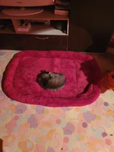 Dog-Beds Cage Lounger Pet-House-Cushion Dogs-Mat Bench-Medium Golden Retriever Large