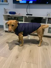 Abrigo de invierno para mascotas, ropa cálida para perros pequeños, abrigo de Navidad para perros grandes, chihuahua
