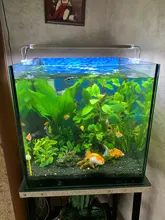 Led-Lighting Aquarium Chihiros Fish-Tank Aquatic-Plant Sunsun Ade Nicrew SMD 18W 220V