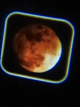 Balleenshiny-rompecabezas de interacción para padres e hijos, juguete luminoso para Educación Temprana, lámpara de proyector de Tobogán, Animal, dinosaurio