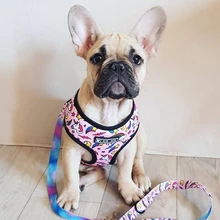 Arnés de Mascota para Bulldog Francés, correas pequeñas y medianas para perros, chaleco de cachorro francés, correa de plomo para perro que camina, productos para mascotas