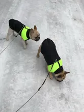 Vest Jacket Pets-Clothing Pug-Coat Puppy Dogs French Bulldog Waterproof Small Winter