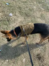 Dog-Harness Loop Dog-Molle-Vest Working Tactical with 2-Metal Buckle Hook Clip Handle